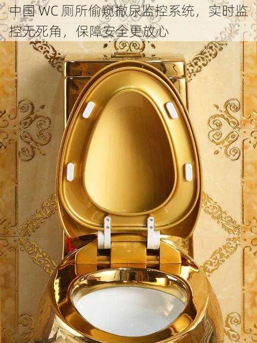 中国 WC 厕所偷窥撤尿监控系统,实时监控无死角,保障安全更放心