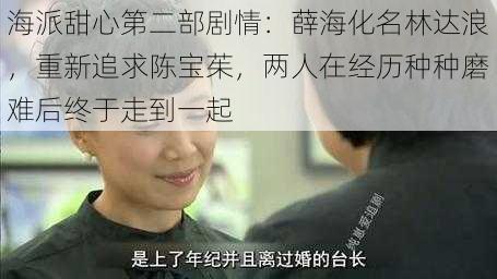 海派甜心第二部剧情:薛海化名林达浪,重新追求陈宝茱,两人在经历种种磨难后终于走到一起