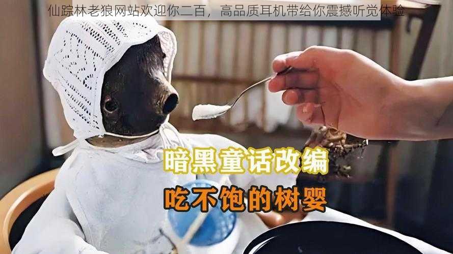 仙踪林老狼网站欢迎你二百,高品质耳机带给你震撼听觉体验