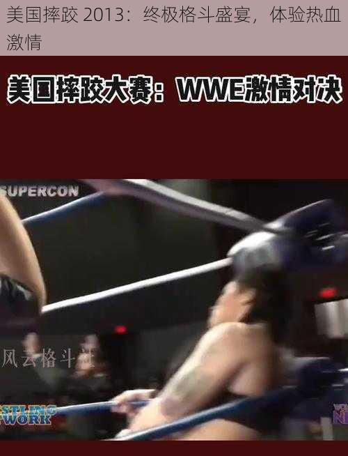美国摔跤 2013:终极格斗盛宴,体验热血激情