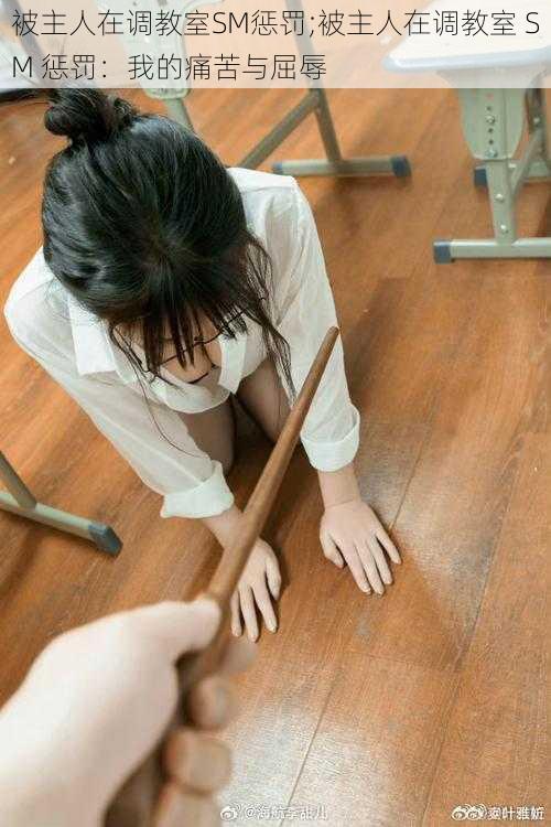 被主人在调教室SM惩罚;被主人在调教室 SM 惩罚:我的痛苦与屈辱
