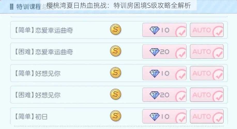樱桃湾夏日热血挑战:特训房困境S级攻略全解析
