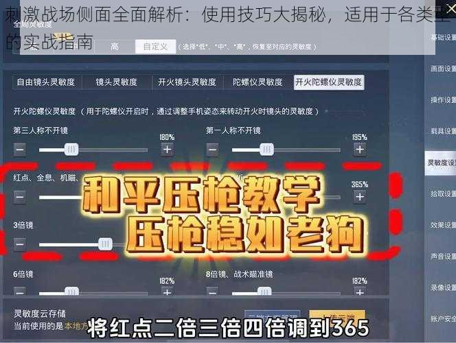 刺激战场侧面全面解析:使用技巧大揭秘,适用于各类型的实战指南